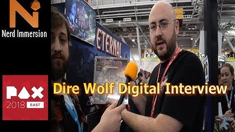 Dire Wolf Digital Interview at PAX East 2018 | Nerd Immersion