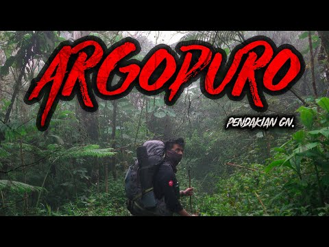 PENDAKIAN INI BUKAN BUAT YANG DENGKULNYA KOPONG - PENDAKIAN Gn. ARGOPURO | KNG #25