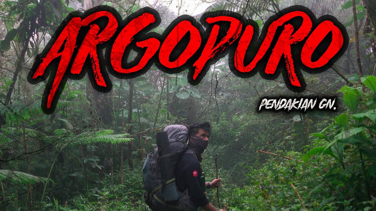 PENDAKIAN INI BUKAN BUAT YANG DENGKULNYA KOPONG - PENDAKIAN Gn. ARGOPURO | KNG #25
