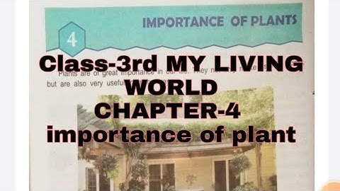 class-3rd my living world chapter-4 importance of plant DAV PUBLIC SCHOOL