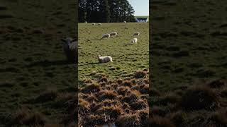 England 🏴󠁧󠁢󠁥󠁮󠁧󠁿✨ | Relaxing 4K Travel screenshot 5