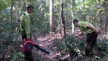 Mùa khô năm 2021-2022, trên địa bàn huyện Xuyên Mộc chỉ xảy ra 01 vụ cháy rừng | BRTgo