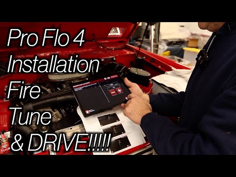 #333-Pro Flo 4
