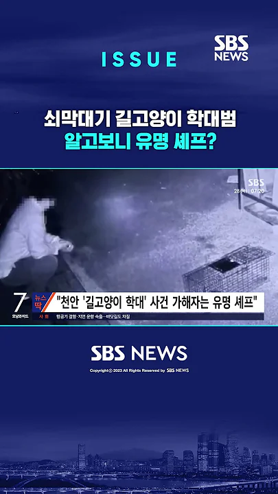 쇠막대기 길고양이 학대범…알고보니 유명 셰프? #shorts