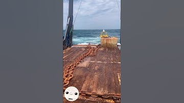 Do you know how BUOYS are placed!? 🚢 #shorts