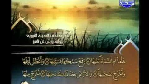 العيون الكوشي - سورة النازعات