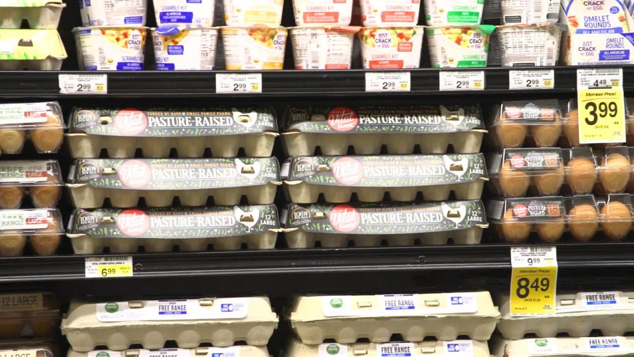 Inflation up 7.7%: What does it mean for our wallets? | ABCNL