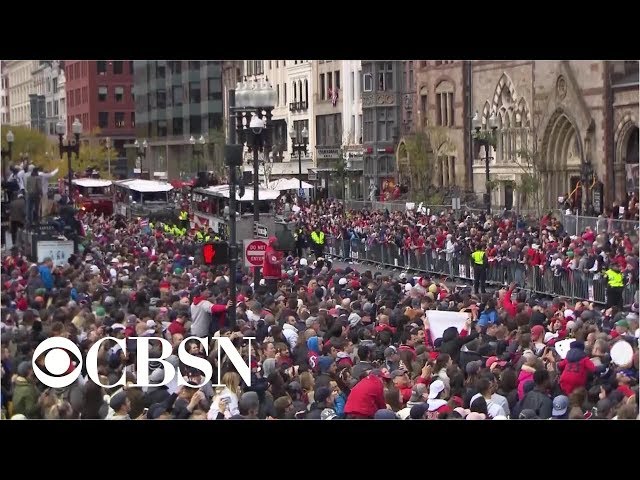 The Very Best Dogs at the 2018 Red Sox Victory Parade