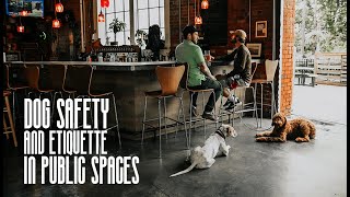 Dog safety and etiquette in public spaces
