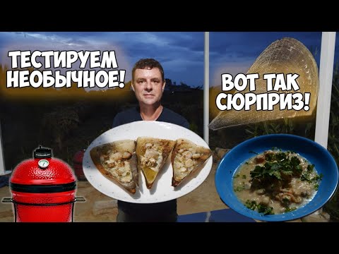 Видео: Огромная и дешевая ракушка! Нашел вкусняху!