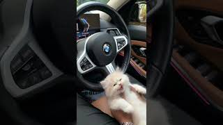 First love 🫣🥀❤️ #shorts #trendingshorts #lifeisbutadream #bmw #edit #love #viral