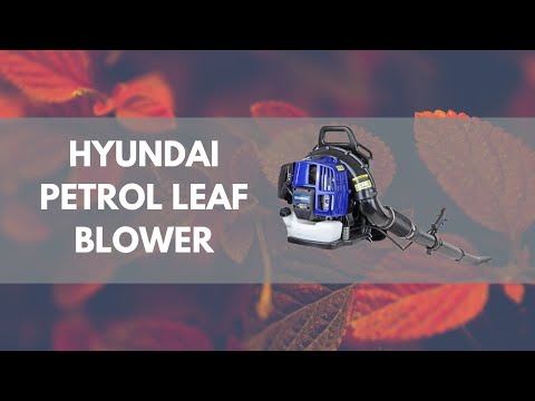 Hyundai HYB5200 52cc