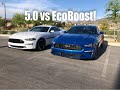2019 Mustang GT vs 2019 Mustang EcoBoost RACE!