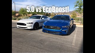 2019 Mustang Gt Vs 2019 Mustang Ecoboost Race