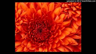 Download Lagu Was (Not Was) Shake Your Head 12 Inch Version MP3