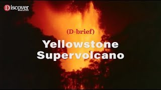 Stopping the Yellowstone Supervolcano from Erupting
The supervolcano underneath Yellowstone could cause massive damage if it erupted. Stopping such an event seems prudent, but how could we do it? Could we even try?
Read the full story here: https://www.discovermagazine.com/planet-earth/no-nasa-isnt-going-to-drill-to-stop-yellowstone-from-erupting
—
ABOUT DISCOVER:
Discover is your source for science that matters, makes sense and is a lot of fun, too.
Visit us at: http://www.discovermagazine.com/
FOLLOW US:
Facebook: https://www.facebook.com/DiscoverMag/
Twitter: https://www.twitter.com/DiscoverMag
Instagram: https://www.instagram.com/discover.magazine/
SUPPORT US:
Subscribe to Discover: https://bit.ly/34seAFT
Sign up for our newsletter: https://www.discovermagazine.com/newsletter-signup
My Science Shop: https://www.myscienceshop.com/
STAY CURIOUS! Stopping the Yellowstone Supervolcano from Erupting