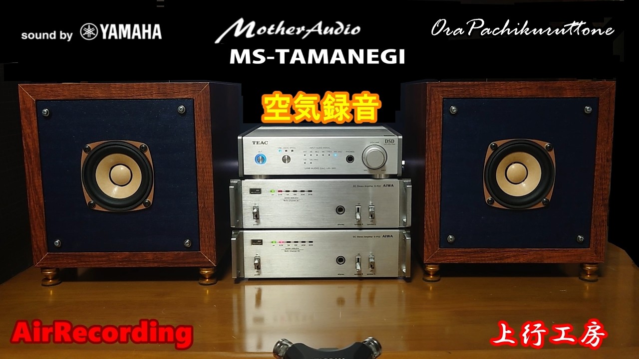 MS-TAMANEGI の実力を引き出すLastShine (SX-LFD5) のエンクロージャー
