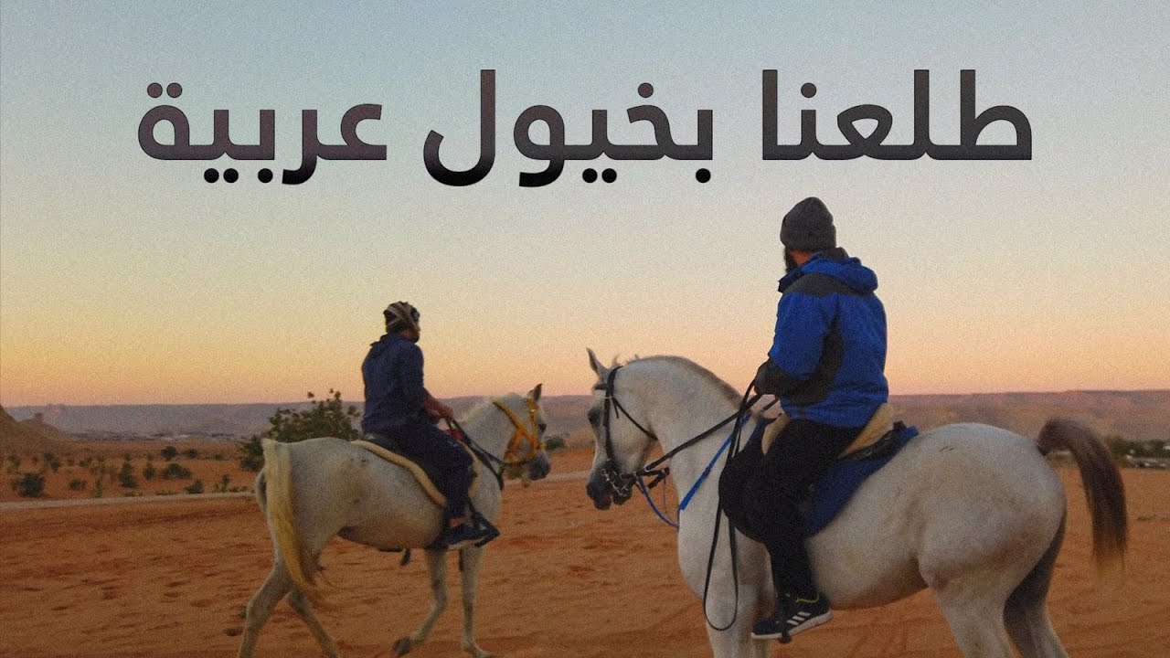 متعة ركوب الخيل 🐎