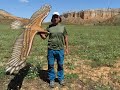 3D Printed Eagle Flight in Spain.