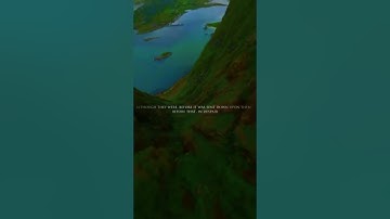 #ياسر_الدوسري #سورة_الروم #funny #صوت_يريح_القلب #صوت_جميل #قرآن #تلاوة_خاشعة {#foryou