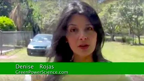 Solar Cooking Fish Fry Fresnel Lens Free Energy from the sun