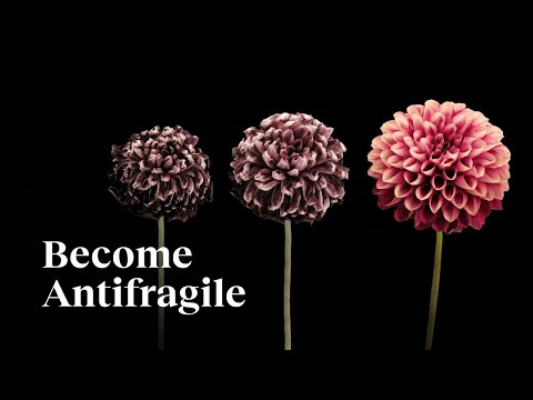 Don’t chase happiness. Become antifragile!