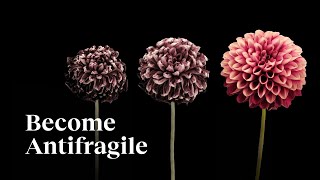 Don’t chase happiness. Become antifragile!