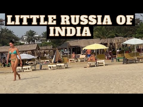 Little Russia of India | Morjim Beach, Goa 2022