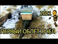 Первый Облет Пчёл 2021 !!!🐝🐝🐝 Весенние Работы на Пасеке !!!🐝🐝🐝