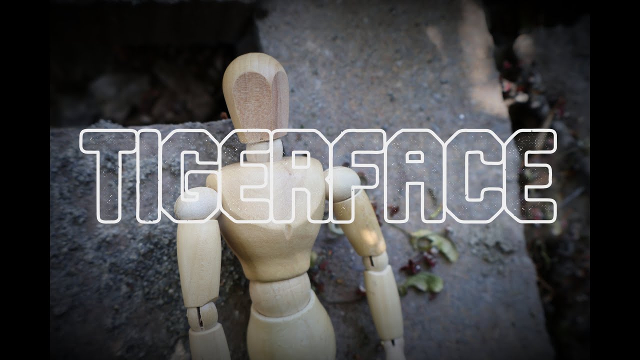 Chinese Diesel Heater - Tigerface