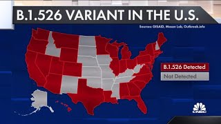 New variant drives up New York coronavirus cases