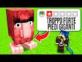 PROVO LE MOD VOTATE PEGGIO DI MINECRAFT!