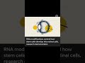 RNA #stem cell #biology #cbse #sciencebysumati