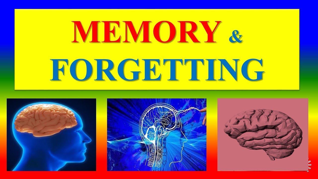 essay about memory and forgetting