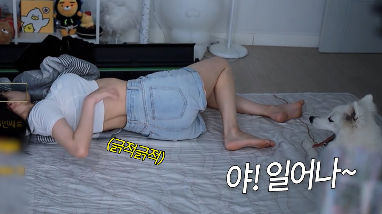 문월의 아침🌅