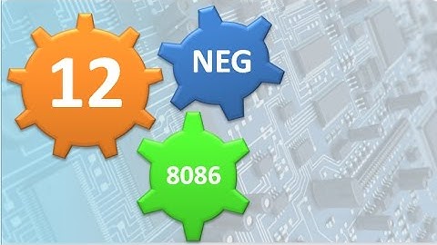 L12-NEG Instruction and TWO