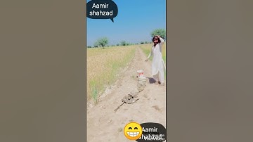 funny video dykhay zaror all videos chanal