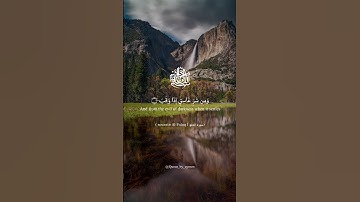 سورة الفلق - sourate Al-Falaq بصوت القارئ الشيخ ماهر المعيقلي