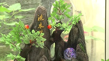 Thác nước tiểu cảnh sân vườn ️- Mã số: TN03-206 | Tâm Nguyên