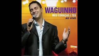 Video thumbnail of "Waguinho - Não dá"