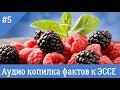 Факт для ЭССЕ по &quot;обществу&quot; - #5 #egevarenyeva