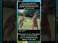 #foryou #fyp #animals#funny