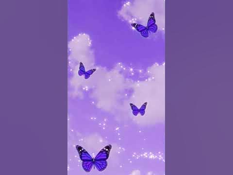 естетика фіолетового кольору ( люблю фіолетовий колір🫐💜☂️) - YouTube