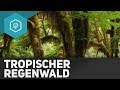 Der Tropische Regenwald - Die Tropen II - Klimazonen 2 ● Gehe auf SIMPLECLUB.DE/GO