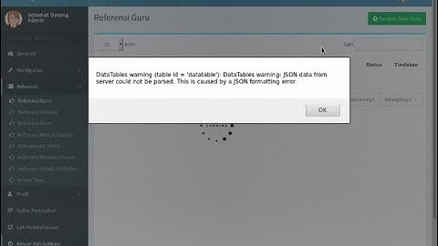 ERROR JSON E RAPOR 3 0