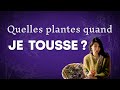 Toux grasse ou toux sche  quelles plantes 