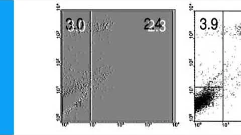 5D015719DCE8A9EDCCFDA200131C39#1