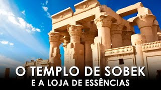 Visitando o Templo de Sobek em Kom Ombo e uma loja de essências