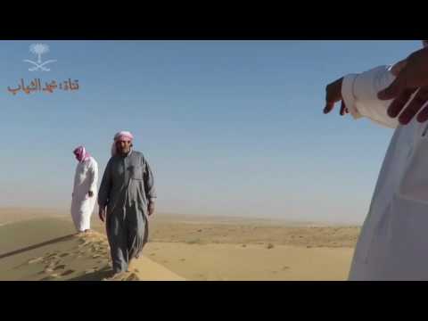 حائل النفود الشملي