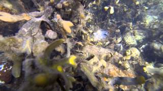 Egaa Harbour Sub Water View.